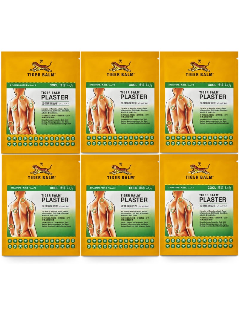 ضمادة طبية لتسكين الآلام متوسطة الحجم (عبوة من 6 قطع) - Image 1