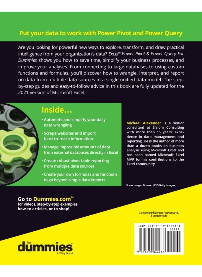Excel Power Pivot & Power Query For Dummies  - Image 2