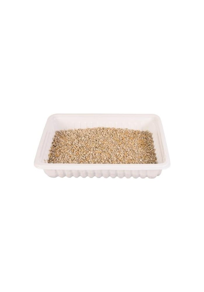Trixie Soft Cat Grass Refill Tray - 100G - Image 2