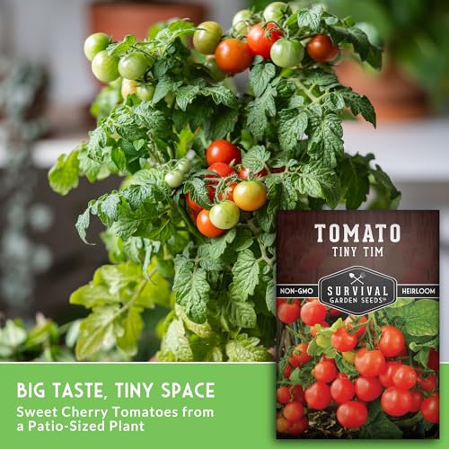 SURVIVAL GARDEN SEEDS Tiny Tim Tomato Seeds - Dwarf Cherry Tomatoes for Planting Indoors or Patio, Compact Heirloom Variety for Containers, High Yield, Non-GMO - Survival Garden Seeds (1 Pack) - Image 5