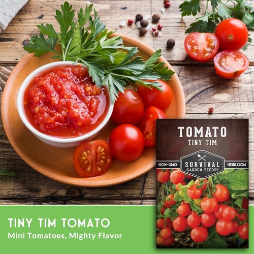 SURVIVAL GARDEN SEEDS Tiny Tim Tomato Seeds - Dwarf Cherry Tomatoes for Planting Indoors or Patio, Compact Heirloom Variety for Containers, High Yield, Non-GMO - Survival Garden Seeds (1 Pack) - Image 3