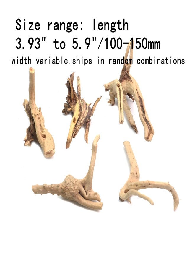 Tsnamay مجموعة تسناماي من 5 قطع من خشب الوقواق الطبيعي لأحواض السمك، ديكور خشبي لأحواض أسماك المياه العذبة والزواحف، أغصان خشبية طافية، طولها من 3.93 بوصة إلى 5.9 بوصة. - Image 2