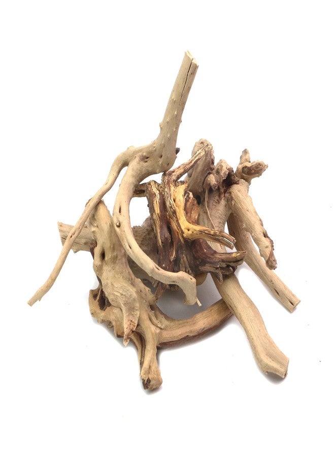 Tsnamay مجموعة تسناماي من 5 قطع من خشب الوقواق الطبيعي لأحواض السمك، ديكور خشبي لأحواض أسماك المياه العذبة والزواحف، أغصان خشبية طافية، طولها من 3.93 بوصة إلى 5.9 بوصة. - Image 4