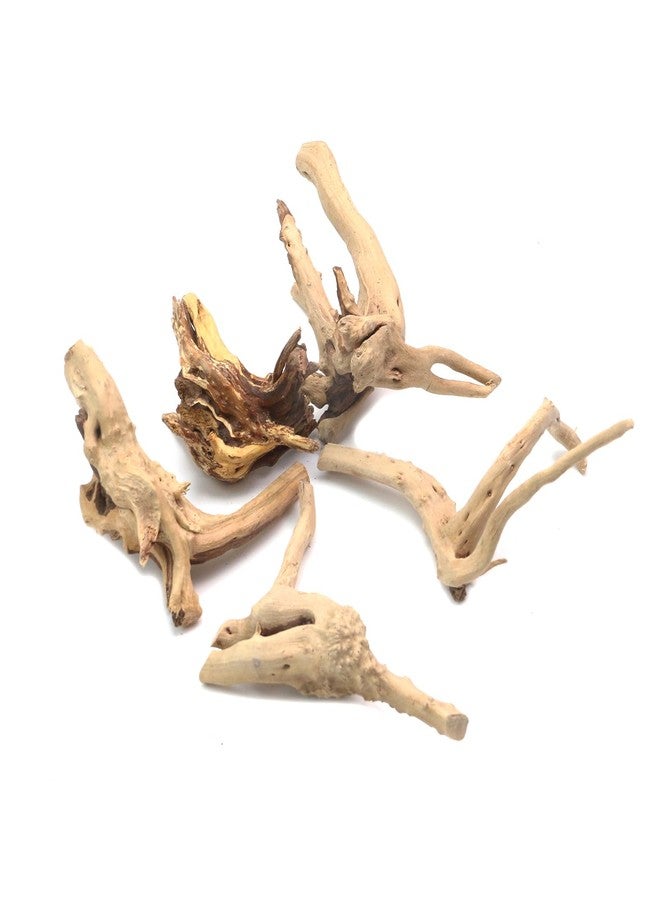 Tsnamay مجموعة تسناماي من 5 قطع من خشب الوقواق الطبيعي لأحواض السمك، ديكور خشبي لأحواض أسماك المياه العذبة والزواحف، أغصان خشبية طافية، طولها من 3.93 بوصة إلى 5.9 بوصة. - Image 3