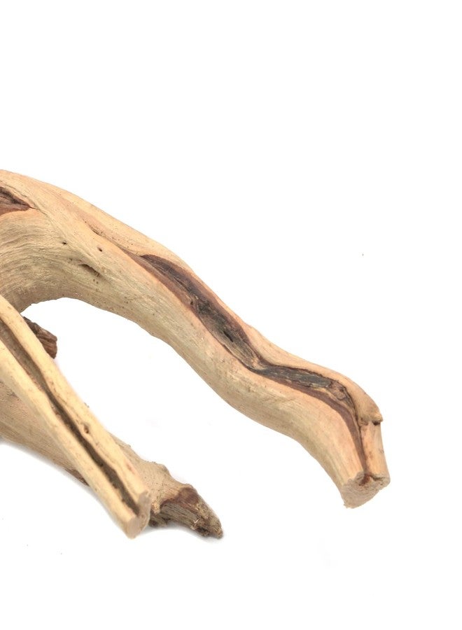 Tsnamay مجموعة تسناماي من 5 قطع من خشب الوقواق الطبيعي لأحواض السمك، ديكور خشبي لأحواض أسماك المياه العذبة والزواحف، أغصان خشبية طافية، طولها من 3.93 بوصة إلى 5.9 بوصة. - Image 5