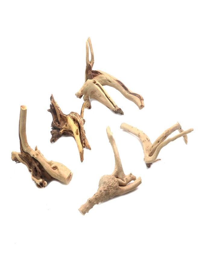 Tsnamay مجموعة تسناماي من 5 قطع من خشب الوقواق الطبيعي لأحواض السمك، ديكور خشبي لأحواض أسماك المياه العذبة والزواحف، أغصان خشبية طافية، طولها من 3.93 بوصة إلى 5.9 بوصة. - Image 1