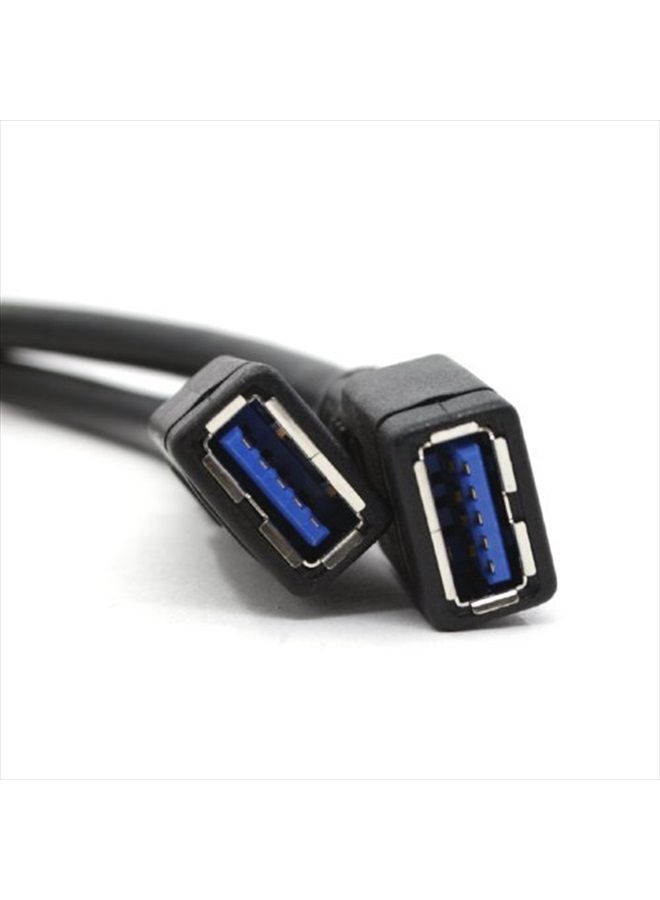 Chenyang كابل CY 2 منافذ USB 3.0 أنثوي إلى رأس 20 دبوس للوحة الأم 20 سم - Image 2