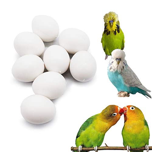 FOIBURELY 8 Pcs Solid Parrot Plastic Eggs Hatching Eggs Lovebird, Bourkes, Lineoleated, Eng Budgie. Trick The Birds to Stop Laying Eggs, Fake Eggs（22mm*18mm） - Image 1