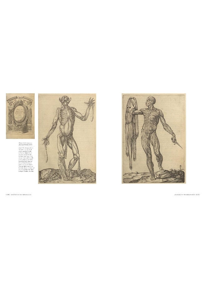 The Anatomists' Library: The Books that Unlocked the Secrets of the Human B - Image 4