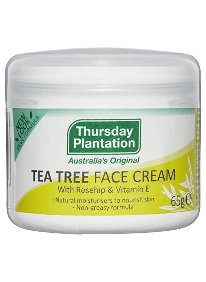 Tea Tree Face Cream With Rosehip And Vitamin E 65 G - pzsku/ZE2FA616C5CB9CE6DEBB4Z/45/_/1721907879/36484cb5-5cce-4f93-a9e5-6f61ed5c95fe