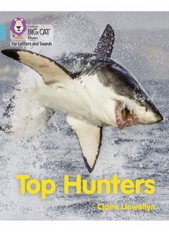 Top Hunters: Band 07/Turquoise - pzsku/ZE2FAD989C4BC3A1FC4C2Z/45/_/1740733215/484c3930-cbb9-423f-b7c4-b0c6822f10bc