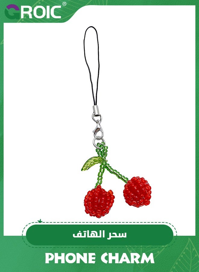 GROIC Cute Beaded Phone Charms Phone Charm Cute Cell Strap Charms Bead for String Accessories Beaded Wrist Lanyard Mobile Wristlet Chain Aesthetic Kawaii Bag Keychain Camera Pendants Decor  - Image 1