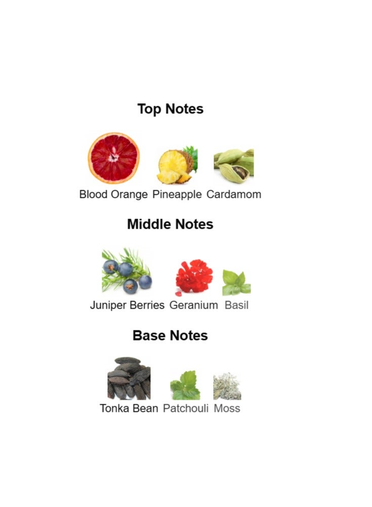 ROCHAS L'Homme Rochas For Men EDT 60ML - Image 5