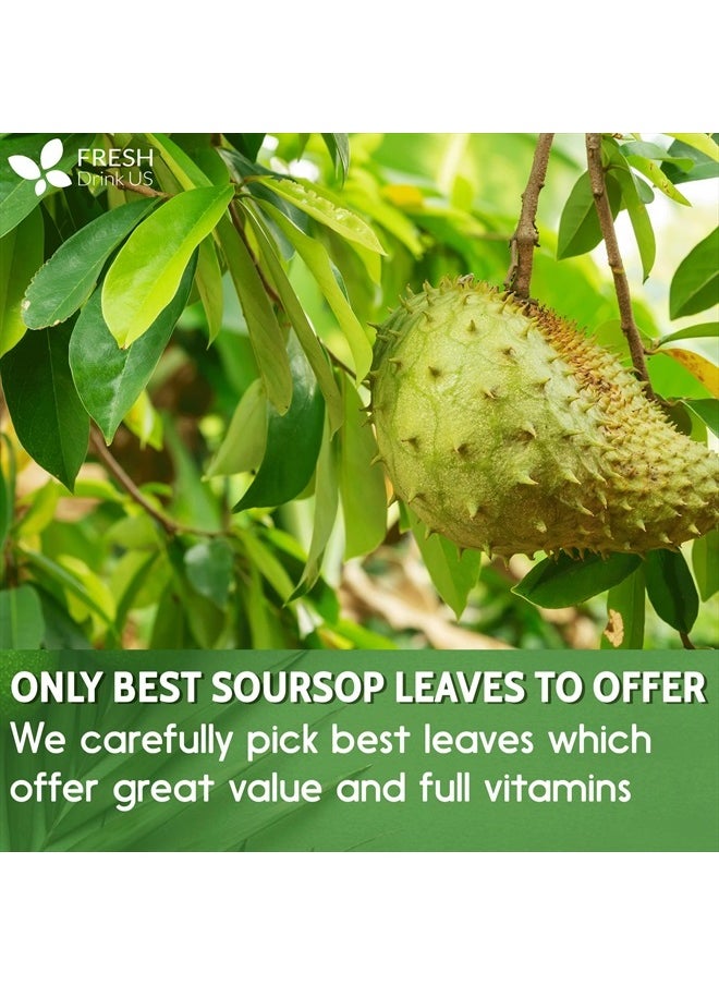 FRESHDRINKUS Premium Soursop Dried Leaves, 120+ Leaves  - Image 5