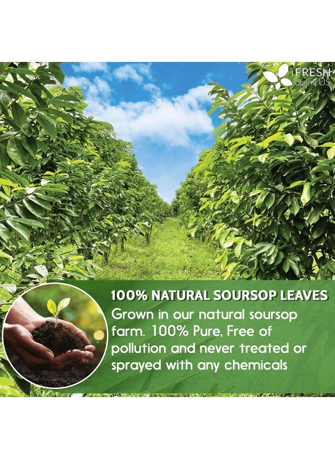 FRESHDRINKUS Premium Soursop Dried Leaves, 120+ Leaves  - Image 4