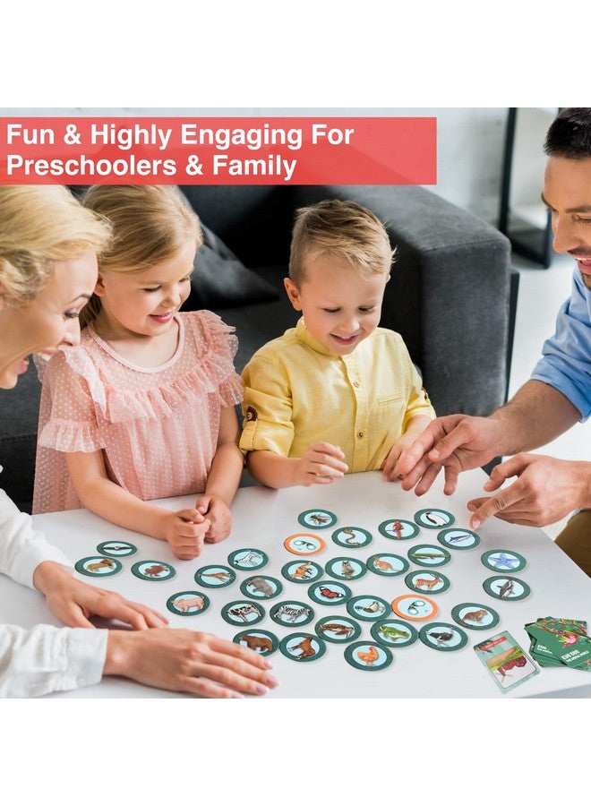 Chalk and Chuckles Educational Game- Eye See Animal World, Gifts for Kids Age 3-6, Super Fun Learning Toys for Boys, Girls 4, 5 Years - Image 2