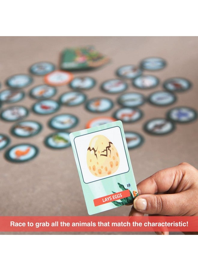 Chalk and Chuckles Educational Game- Eye See Animal World, Gifts for Kids Age 3-6, Super Fun Learning Toys for Boys, Girls 4, 5 Years - Image 3