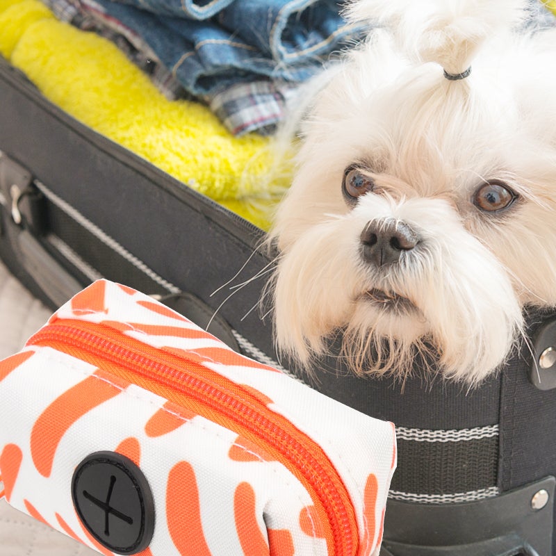 Outdoor Bag Dispenser Convenient Dog Bag Holder Portable Bag Container Bag Accessory - Image 3