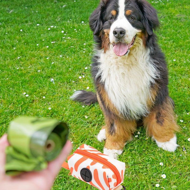 Outdoor Bag Dispenser Convenient Dog Bag Holder Portable Bag Container Bag Accessory - Image 4