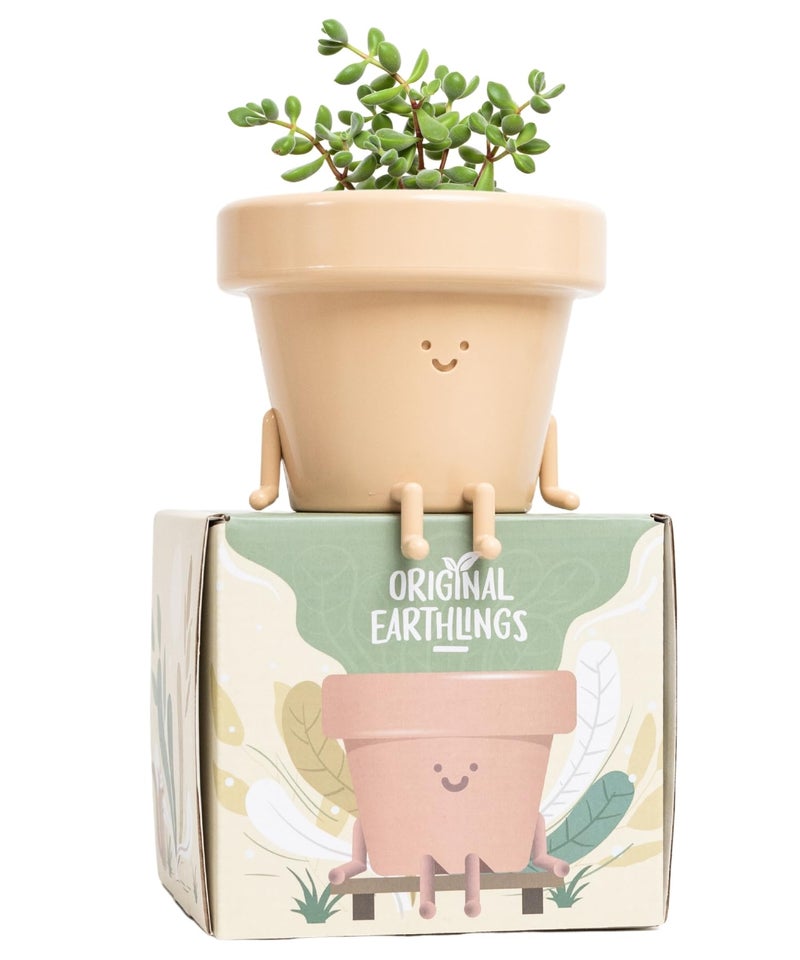 Original Earthlings Sitting Small Plant Pot - 4 Inch Cute Plant Pot - Succulent & Cactus Christmas Planters, Removable Drainage Plug, Cute Decor Plant Gifts for Plant Lovers, Teacher Gifts - Image 1