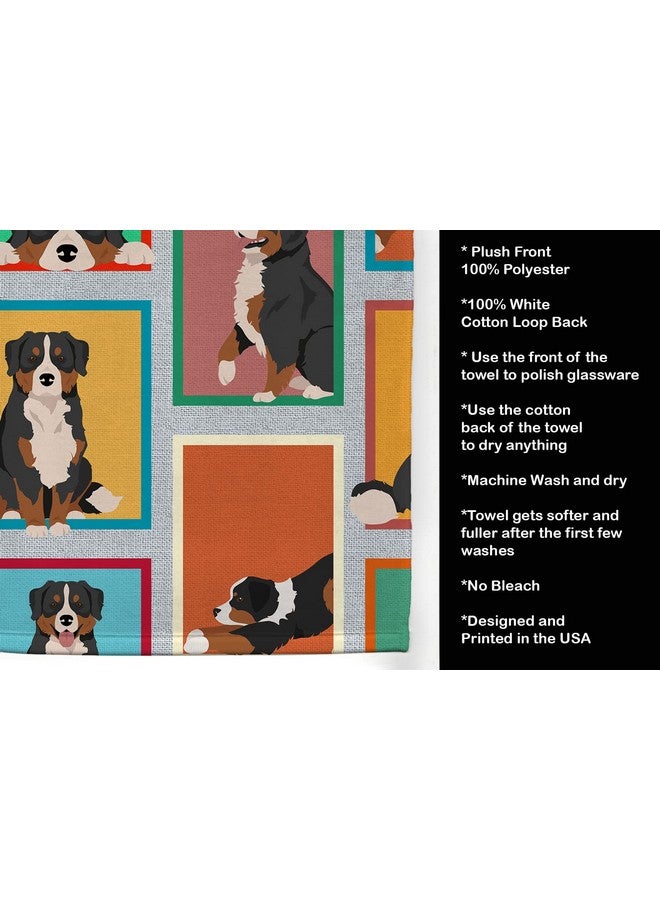 Caroline's Treasures MLM1087KTWL Lots of Bernese Mountain Dog Kitchen Towel Dish Cloths Guest Hand Towel Decorative Bathroom Towel for Face,Tea, Dishcloth, Kitchen and Bath - Image 5
