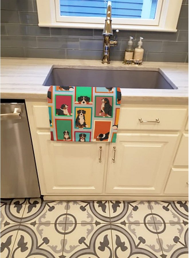 Caroline's Treasures MLM1087KTWL Lots of Bernese Mountain Dog Kitchen Towel Dish Cloths Guest Hand Towel Decorative Bathroom Towel for Face,Tea, Dishcloth, Kitchen and Bath - Image 2