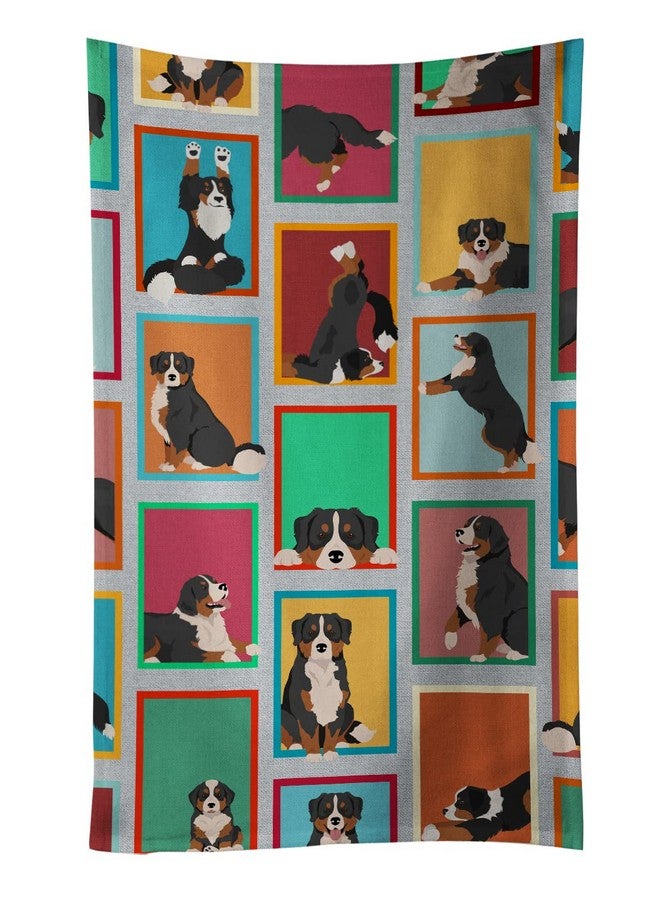 Caroline's Treasures MLM1087KTWL Lots of Bernese Mountain Dog Kitchen Towel Dish Cloths Guest Hand Towel Decorative Bathroom Towel for Face,Tea, Dishcloth, Kitchen and Bath - Image 1