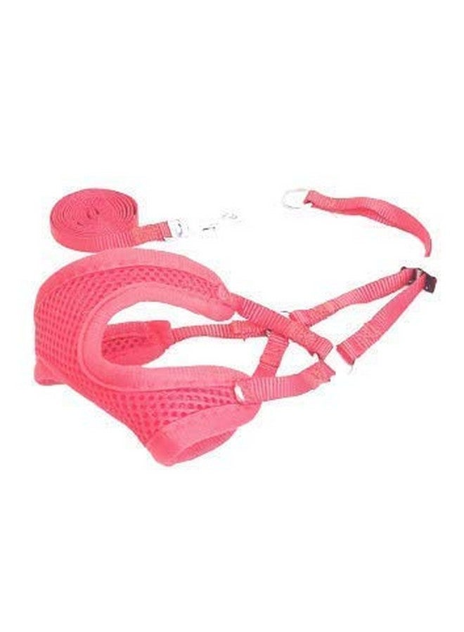 طقم حزام ومقود للحيوانات الأليفة - حزام شبكي ناعم قابل للتعديل ومريح للكلاب الصغيرة والجراء - أحمر - Image 1