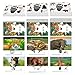 MEROCO Safari Animal Tracks Card Game Farm Animal Flash Cards Matching Game Kids Science Learning Educational Toys for Homeschool Preschool Autism 3 Years Old Up - Image 2