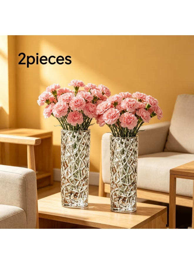 مزهريتان زجاجيتان شفافتان غير منتظمتان، طول كل منهما 20 سم، بتصميم إبداعي وجمالي، تُستخدمان كزينة مكتبية لنباتات الورد في المنزل أو المكتب. - Image 1