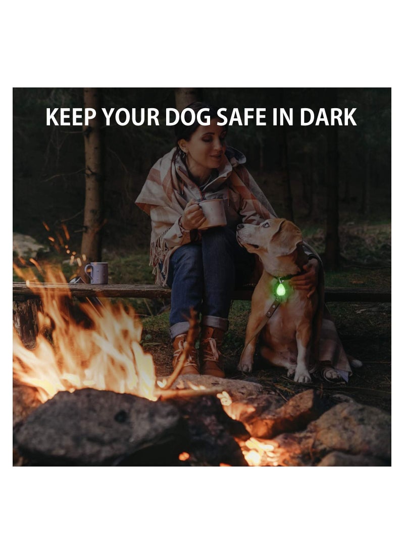 واي آند دي Dog Collar Light 2 Sets Of Lights With Usb Charging Waterproof Led Safety For Walking At Night Blue And Green  - Image 5