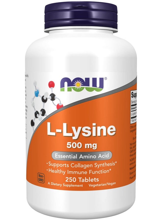 Health & Household - Now Foods L-Lysine 500 Milligrams, 250 Tablets - Image 1