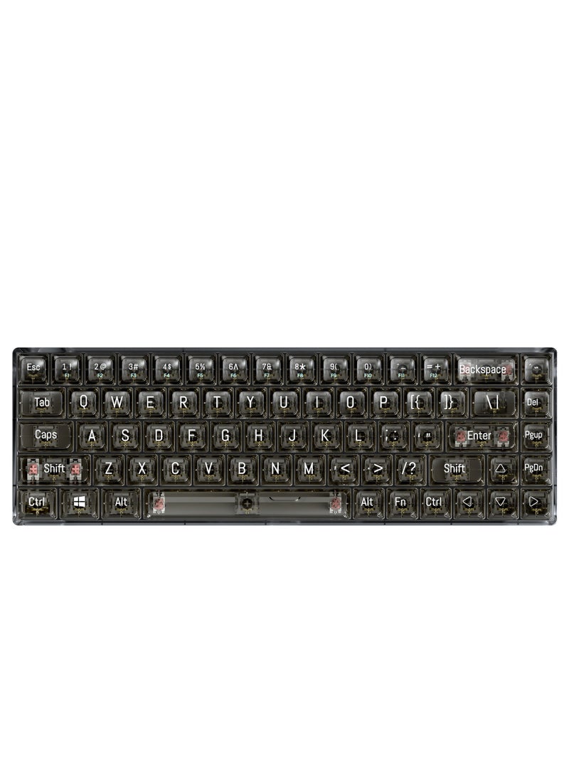 T-WOLF - Transparent Gaming Keyboard,68 Keys USB Wired Mechanical Keyboard with Transparent PBT Keycaps and RGB Side Light for Office Gaming,Suitable for PC/Ps4/Xbox Gamers,Red Switch - Image 1