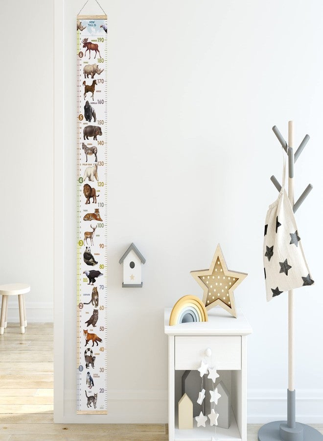 LIFELIKO Personalised Growth Chart for Animal Lovers, Removable Wall Ruler for Boys and Girls, Kid’s Room Decoration (Multicolor) - Image 5