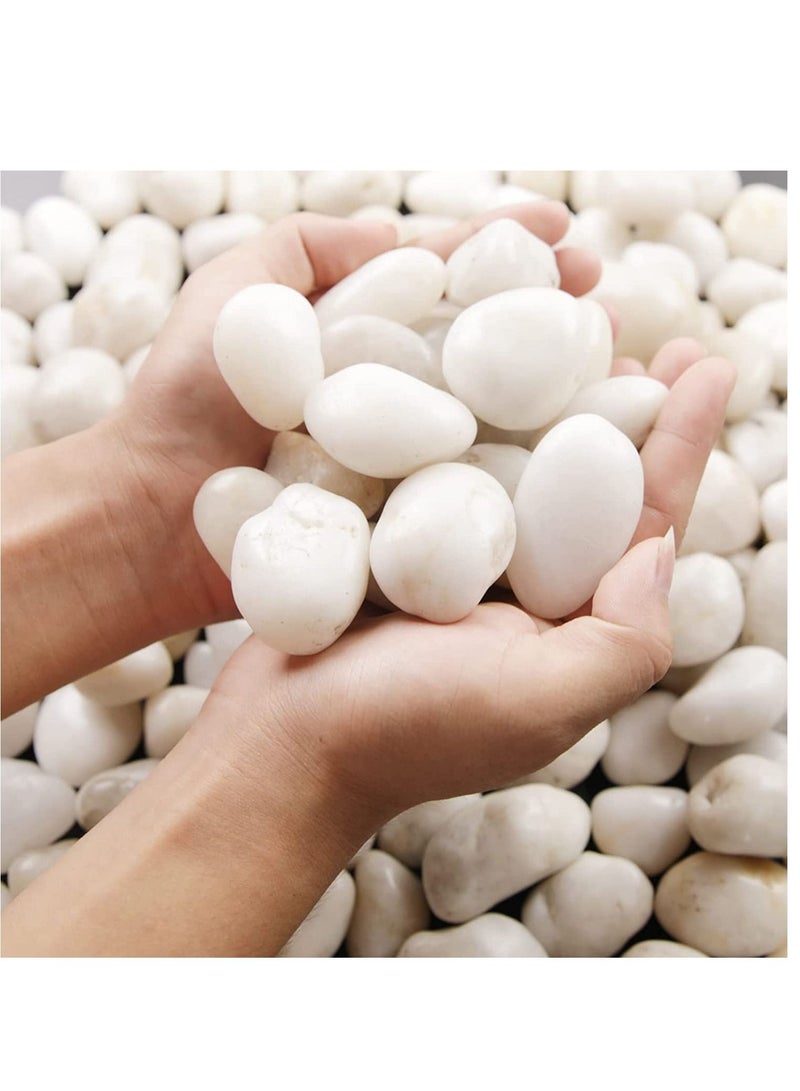 White Decorative Pebbles River Rock Large White Light Polished Stones For Glassware, Vases, Outdoor Graden, Lawn Aquariums 3Kg