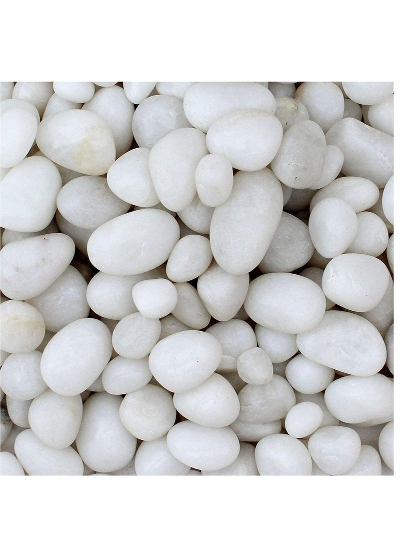 White Decorative Pebbles River Rock Large White Light Polished Stones For Glassware, Vases, Outdoor Graden, Lawn Aquariums 3Kg