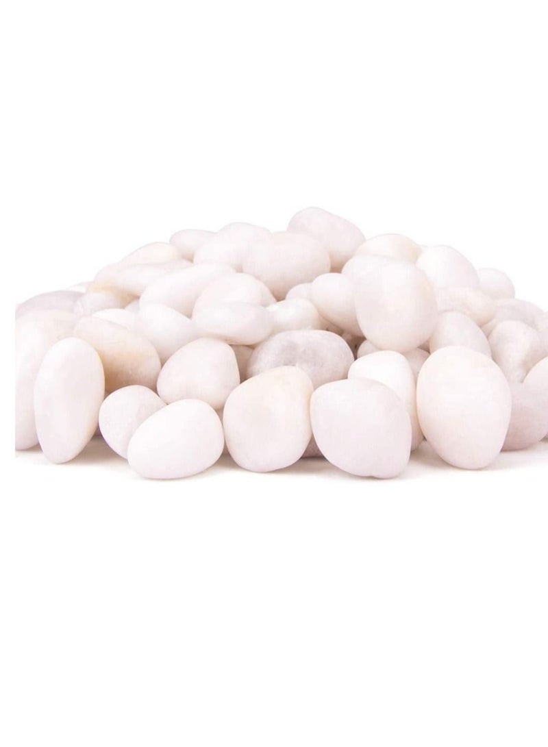White Decorative Pebbles River Rock Large White Light Polished Stones For Glassware, Vases, Outdoor Graden, Lawn Aquariums 3Kg