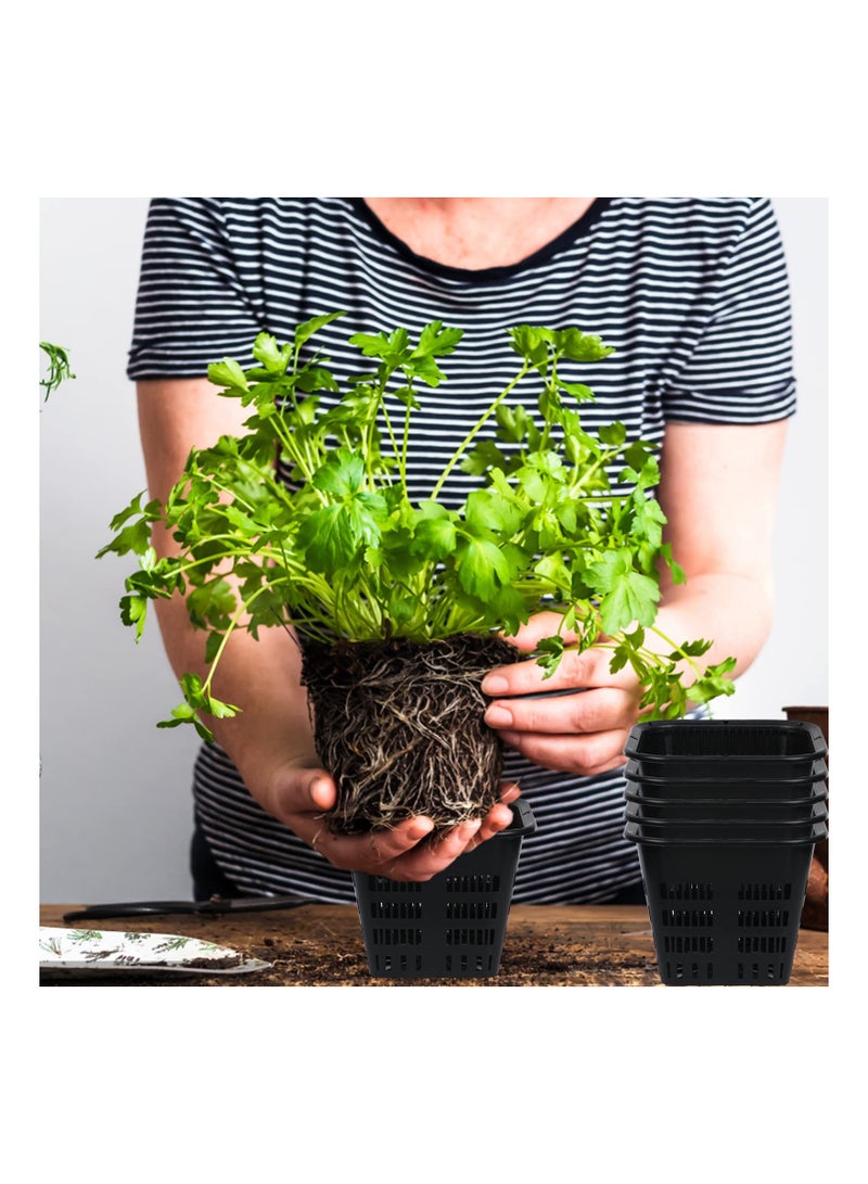 KASTWAVE 12 Pcs Black Orchid Pot Set Orchid Breathable Slotted Plastic Plant Pot with Drainage Hole Air Plant Pot Orchid Flower Pot - Image 5