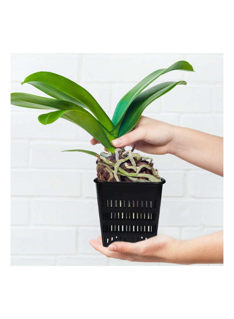 KASTWAVE 12 Pcs Black Orchid Pot Set Orchid Breathable Slotted Plastic Plant Pot with Drainage Hole Air Plant Pot Orchid Flower Pot - Image 2