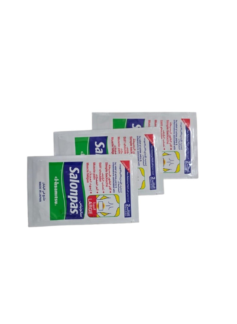 Pain Relieving Patch Large Triple Pack (2 Patches x 3)