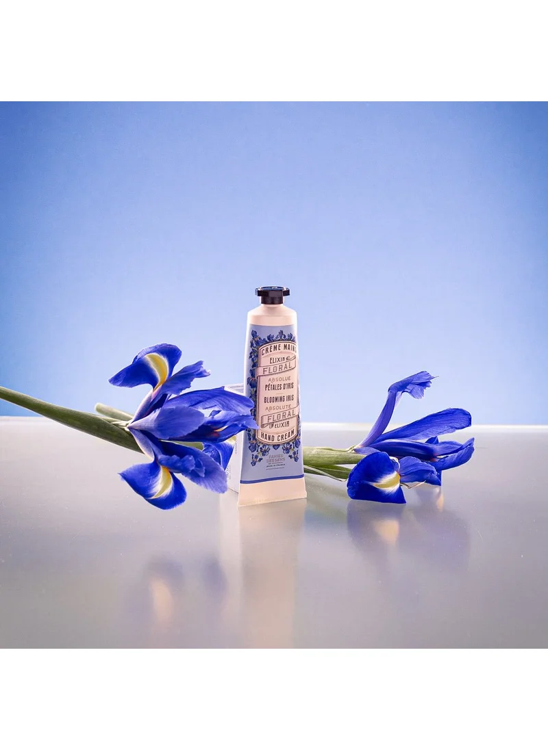 بانيير دي سينز Hand cream - Iris Petals 30ml