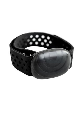 Nautilus BOWFLEX 3 ASSY, HEART RATE ARMBAND - pzsku/ZE3159B75ADFC25191E5CZ/45/_/1646292294/832259b6-7947-4a2a-b682-0209921ec0c0