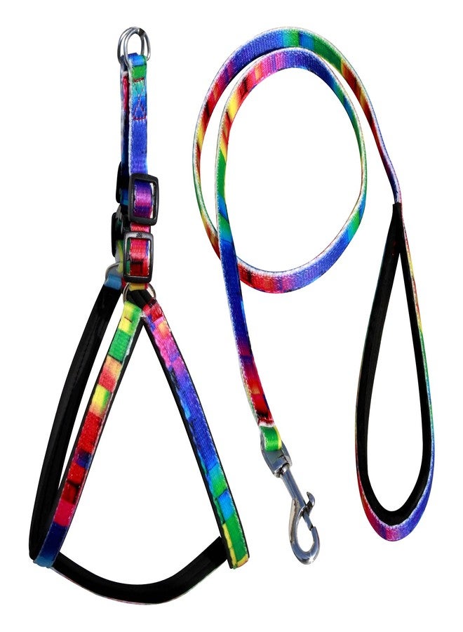 Pedigone Dog Belt Combo of Rainbow Puppy Harness with Soft Handle Padded Leash Specially for Small Dog Harness Leash (Small, Rainbow) - Image 1