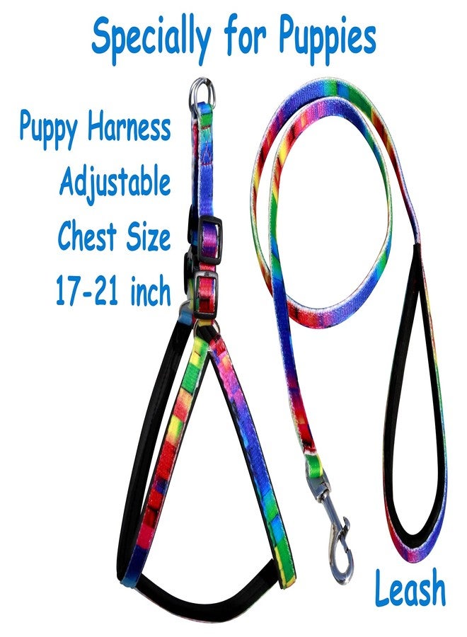 Pedigone Dog Belt Combo of Rainbow Puppy Harness with Soft Handle Padded Leash Specially for Small Dog Harness Leash (Small, Rainbow) - Image 2