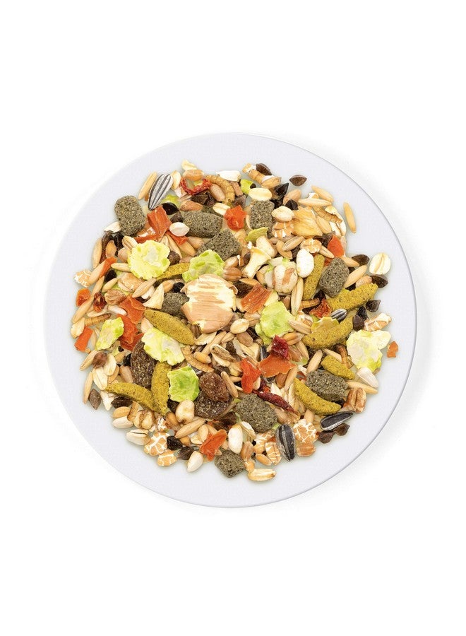 ويت مولين طعام الهامستر النقي خليط بذور الديدان، بذور عباد الشمس، الأرز المنفوخ، مكسرات العنب، بدون مواد حافظة صناعية، طعام جاف، 1.7 رطل (عبوتان) - Image 3