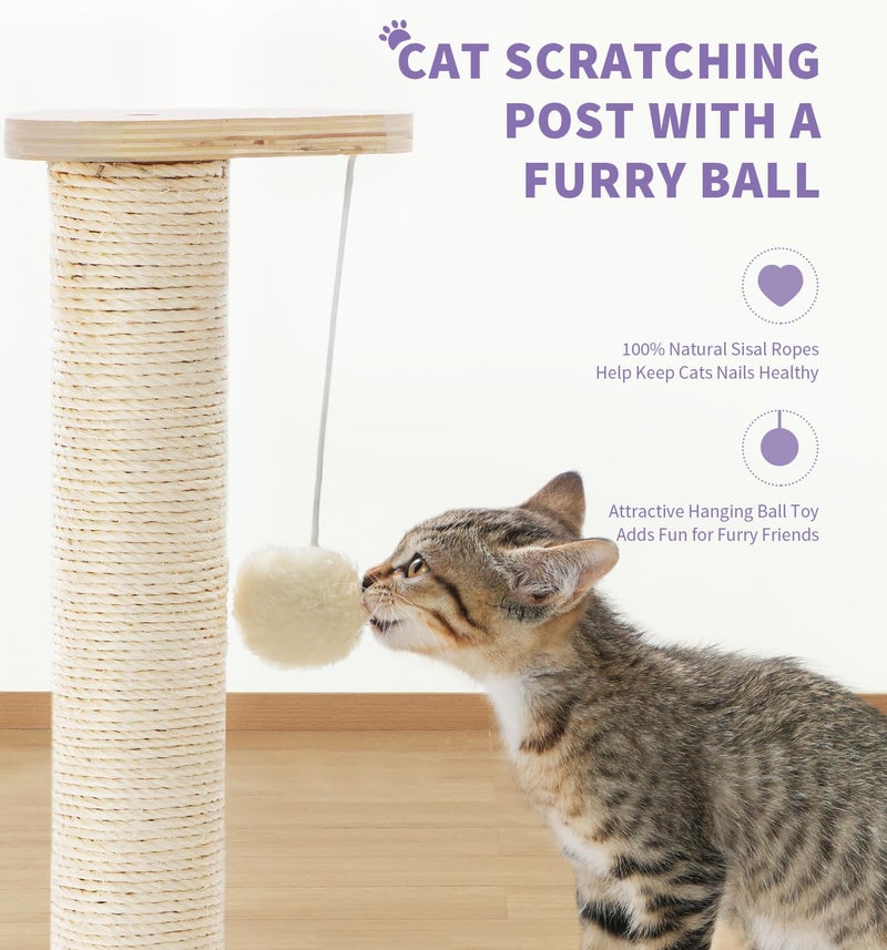 MADE 4 PETS Made4Pets Cat Scratching Post Cat Scratcher Kitten Toys for Indoor Cats Wooden Ball Track Two-Layer Modern Sisal 17.7" Tall Scratch Post Interactive Toy with Dangling Ball - Image 4