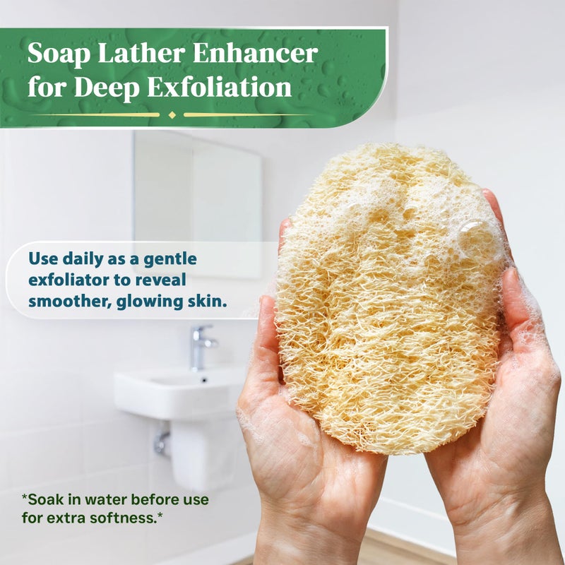 LooLife Natural Loofah Exfoliating Body Scrubber (8 Pack) - Organic Loofah for Body - Biodegradable Shower Luffa - Natural Bath Sponges Loufa - Estropajos para el Cuerpo - Image 3