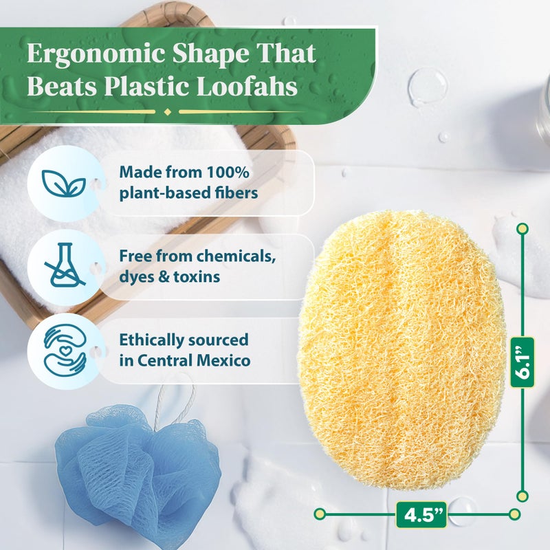 LooLife Natural Loofah Exfoliating Body Scrubber (8 Pack) - Organic Loofah for Body - Biodegradable Shower Luffa - Natural Bath Sponges Loufa - Estropajos para el Cuerpo - Image 2