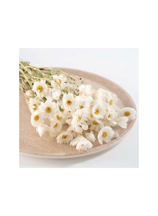 The Bros Dried Daisy Flowers Bouquet, 150+ Dry White Flowers, Artificial Sunflowers, 17'' Natural Gerber Daisies Arrangements for Farmhouse Vase Decor, Wedding, DIY Home Office Party Decoration - Image 5