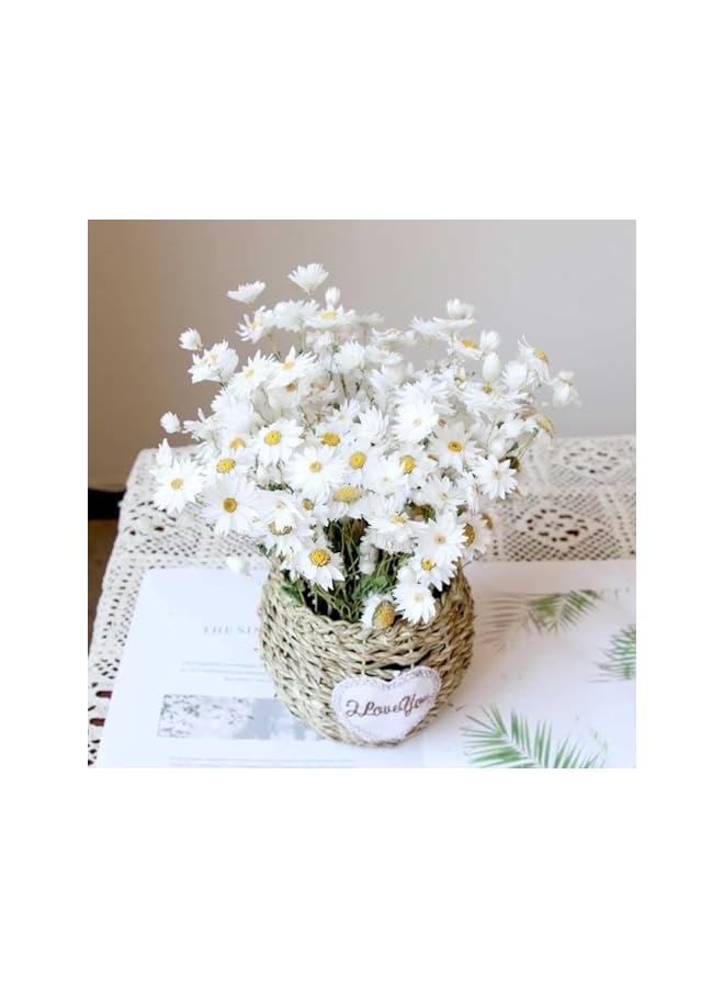 The Bros Dried Daisy Flowers Bouquet, 150+ Dry White Flowers, Artificial Sunflowers, 17'' Natural Gerber Daisies Arrangements for Farmhouse Vase Decor, Wedding, DIY Home Office Party Decoration - Image 3